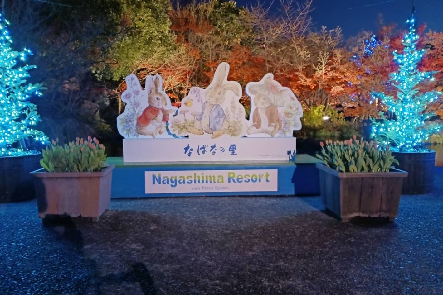 なばなの里イルミネーション