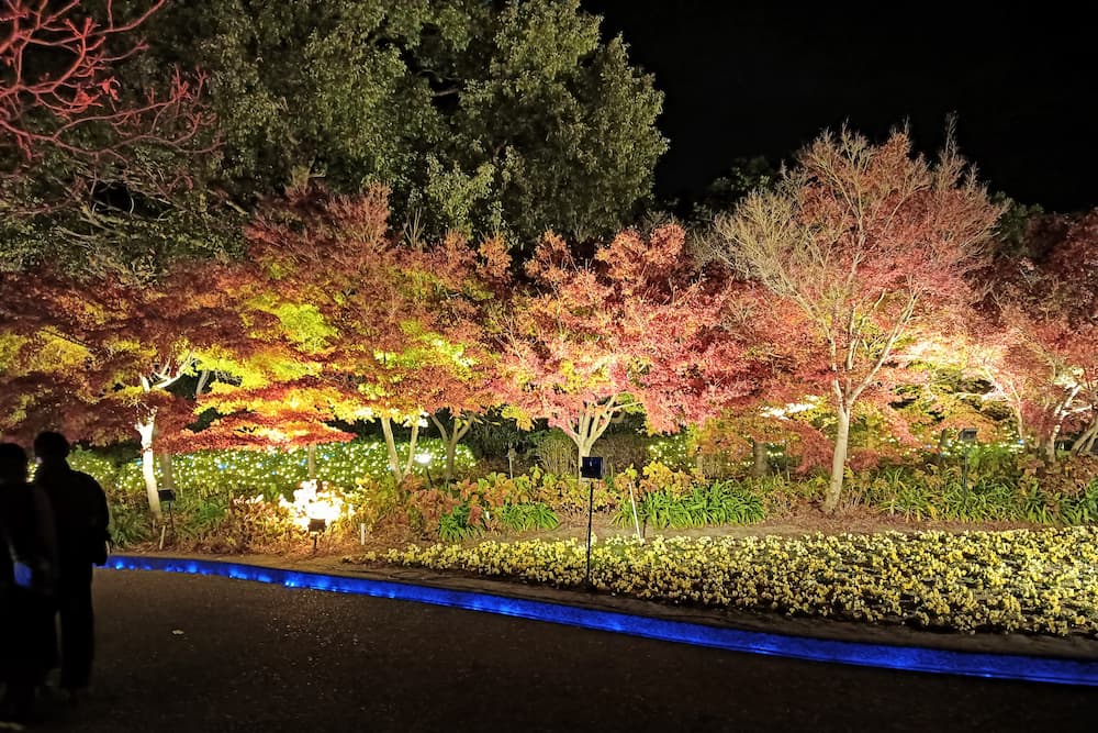 なばなの里イルミネーション