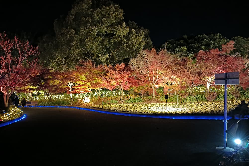 なばなの里イルミネーション