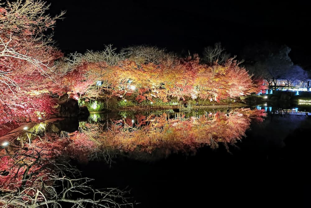 なばなの里イルミネーション