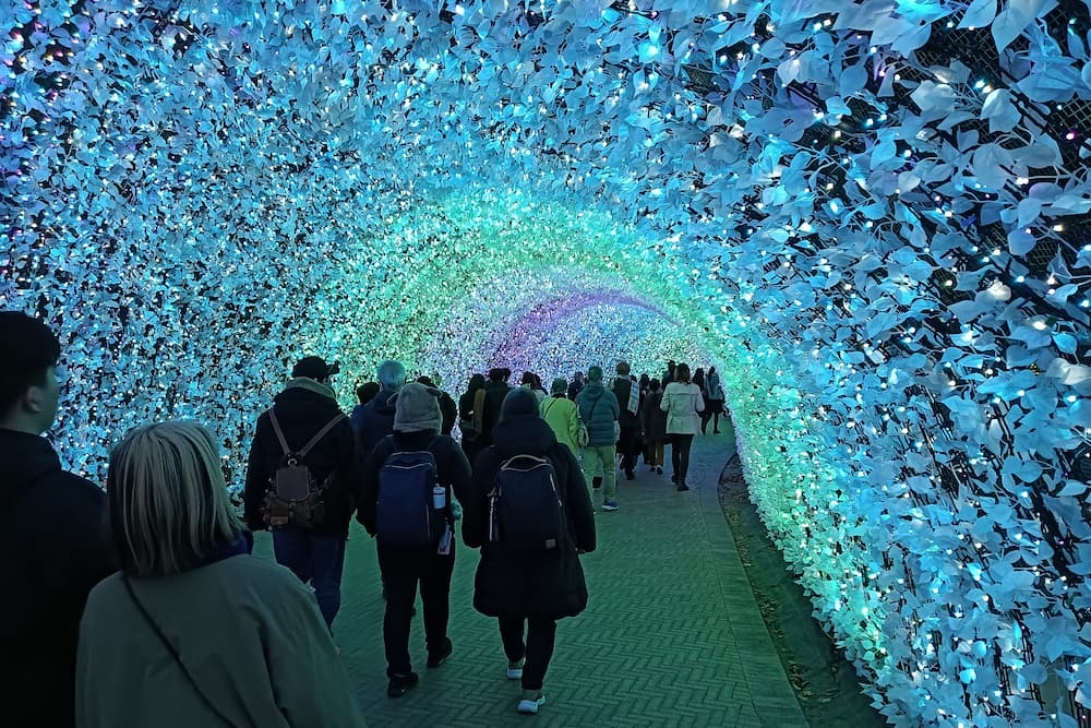 なばなの里イルミネーション