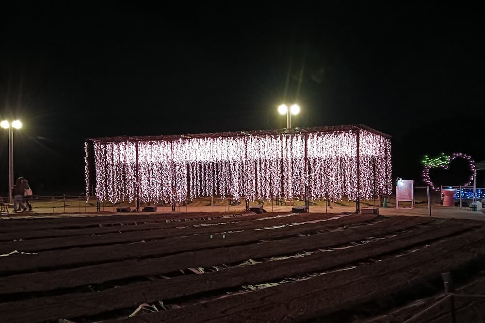 なばなの里イルミネーション