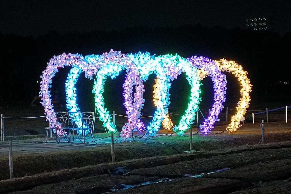 なばなの里イルミネーション