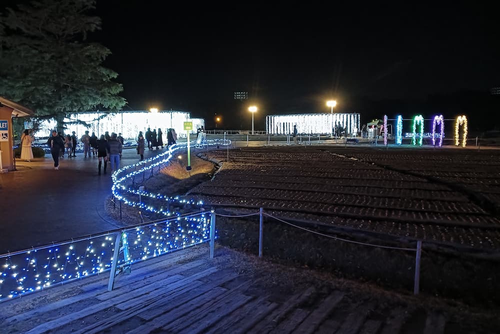 なばなの里イルミネーション