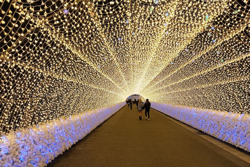 なばなの里イルミネーション