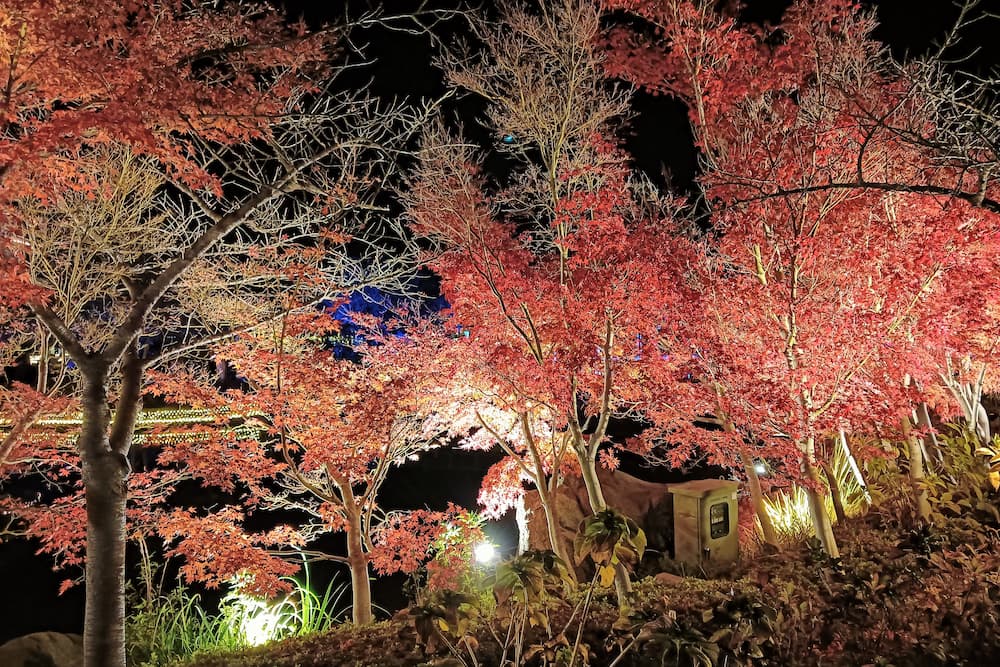 なばなの里イルミネーション