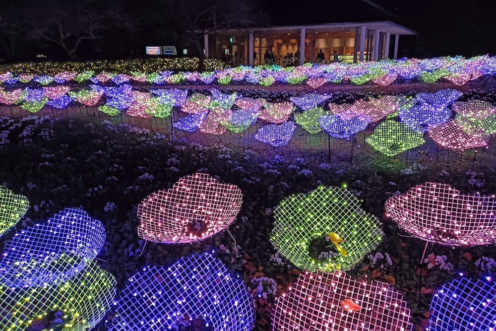 なばなの里イルミネーション