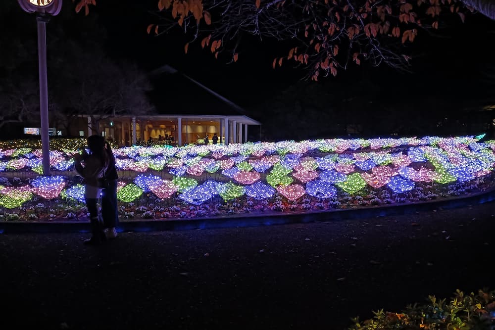 なばなの里イルミネーション