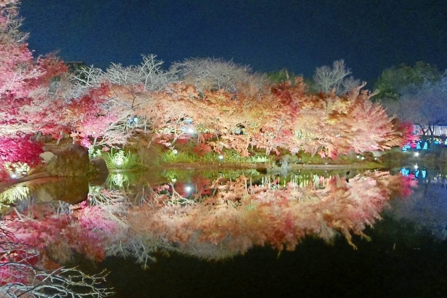 なばなの里イルミネーション