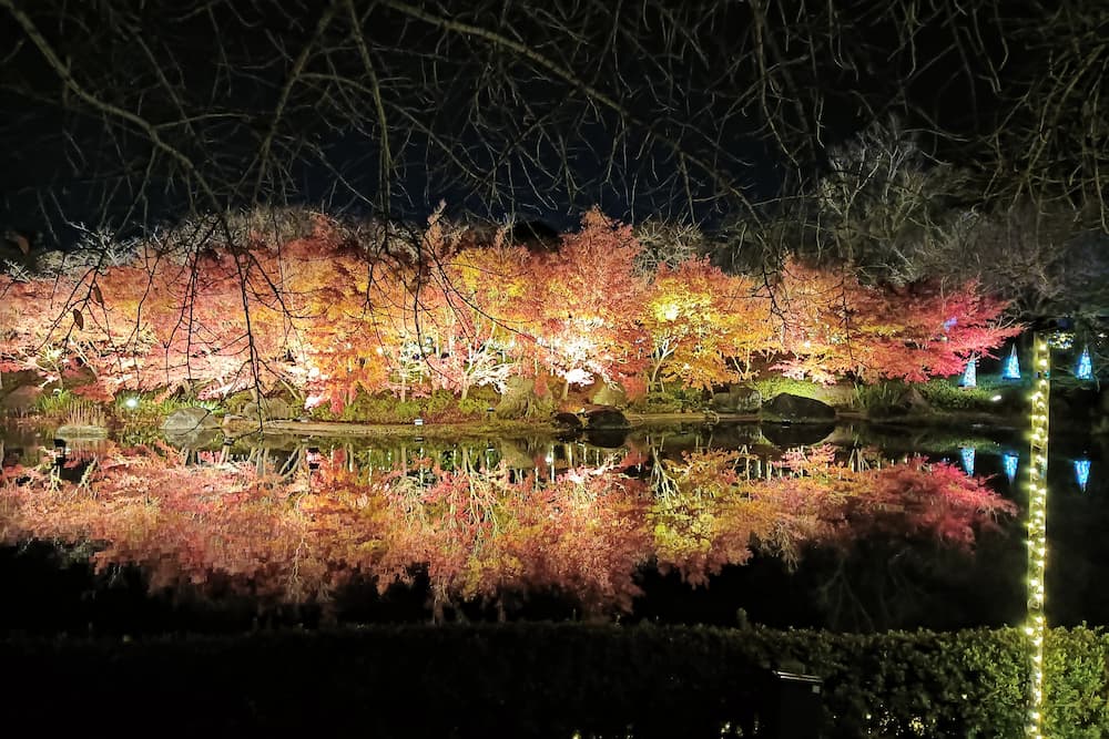 なばなの里イルミネーション