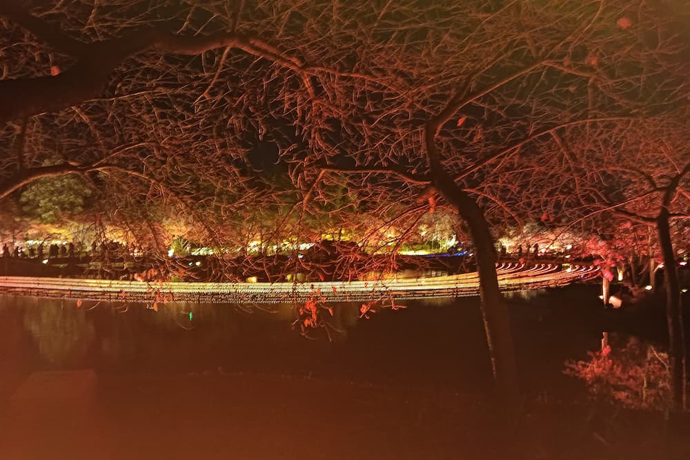 なばなの里イルミネーション