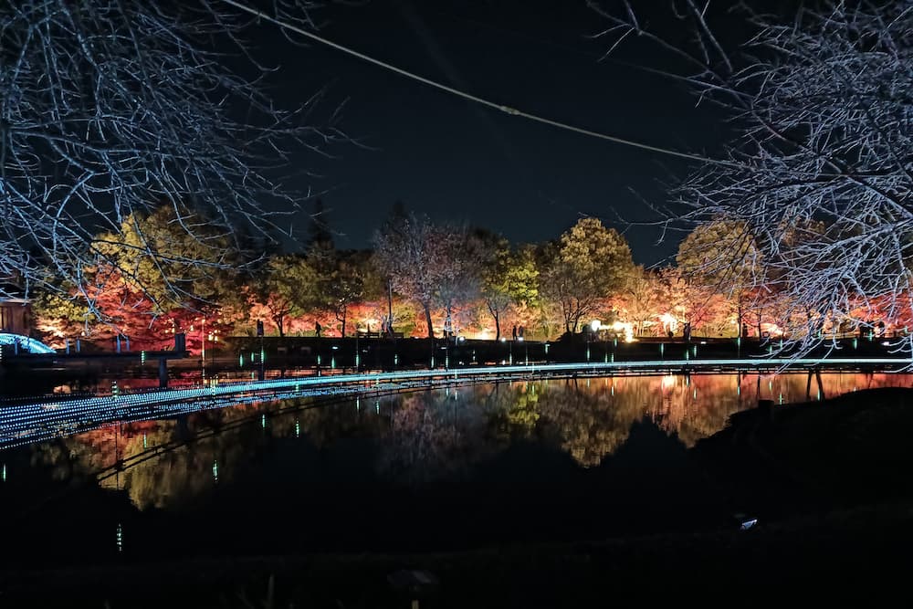 なばなの里イルミネーション