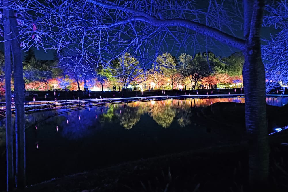 なばなの里イルミネーション