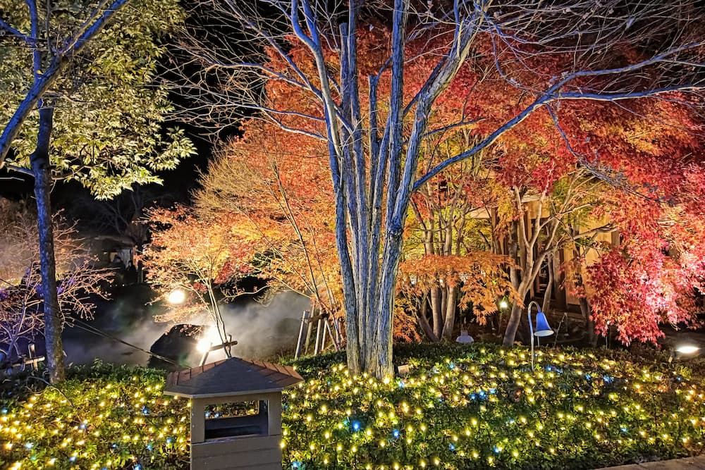 なばなの里イルミネーション