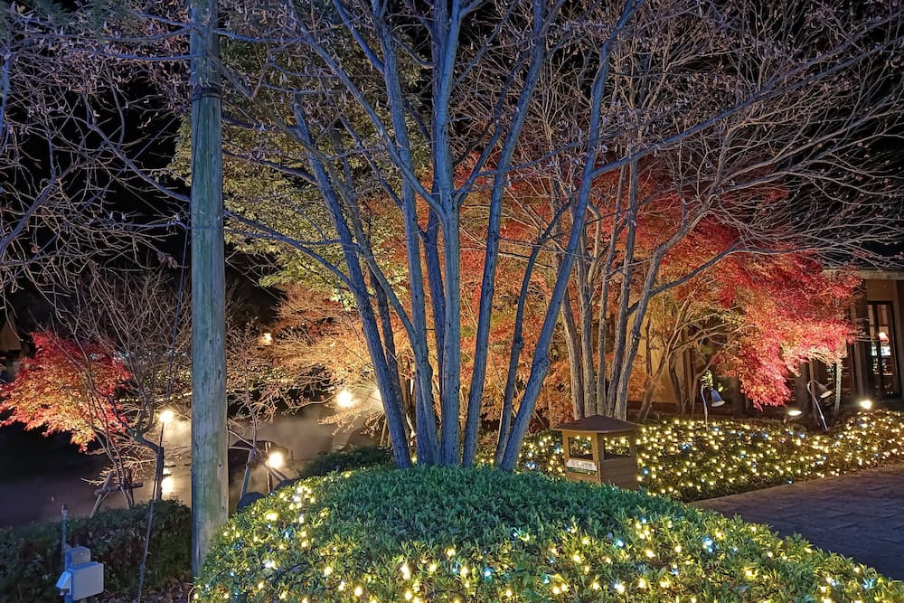 なばなの里イルミネーション