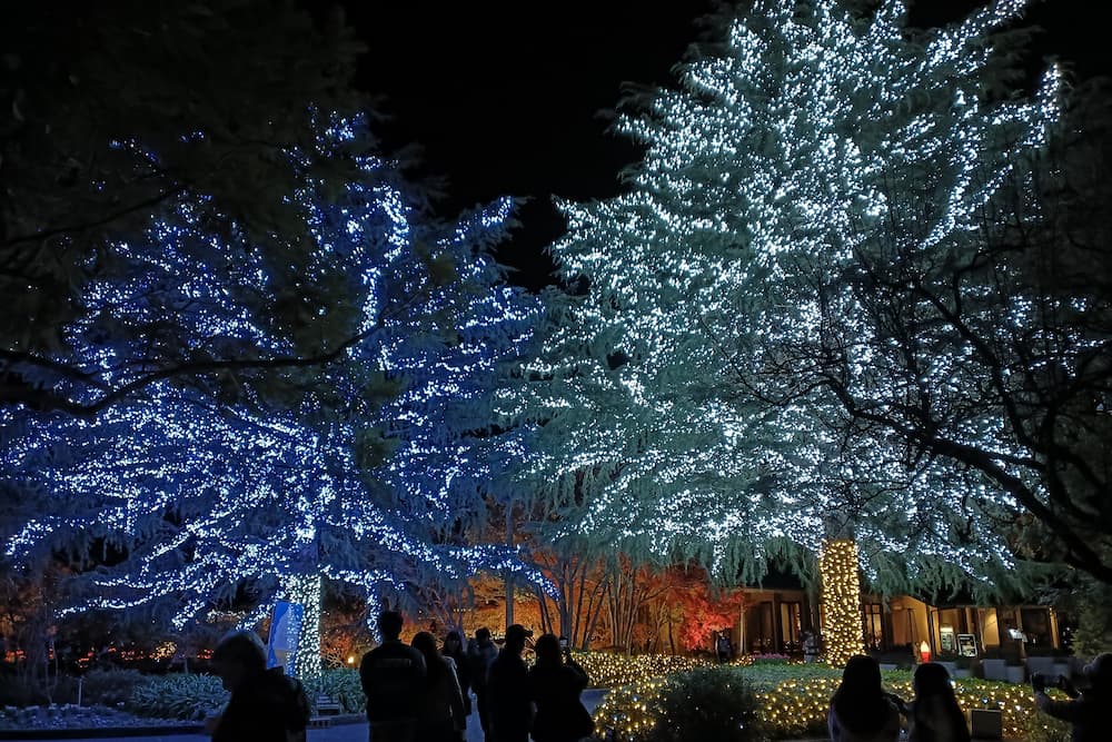 なばなの里イルミネーション