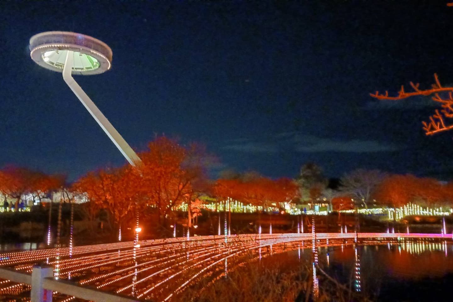 なばなの里イルミネーション