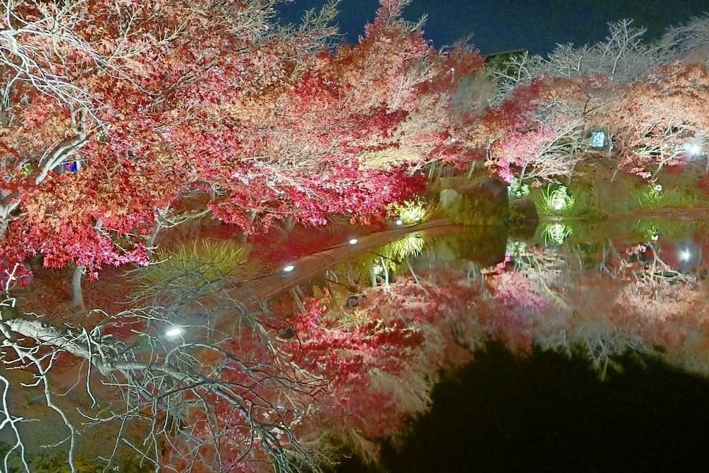 なばなの里イルミネーション