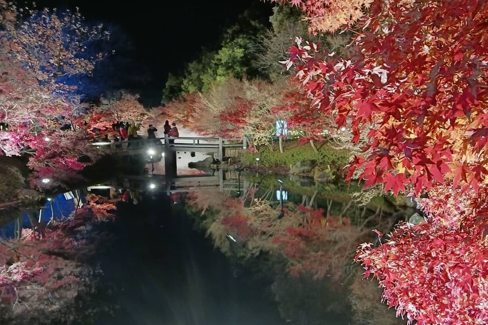 なばなの里イルミネーション