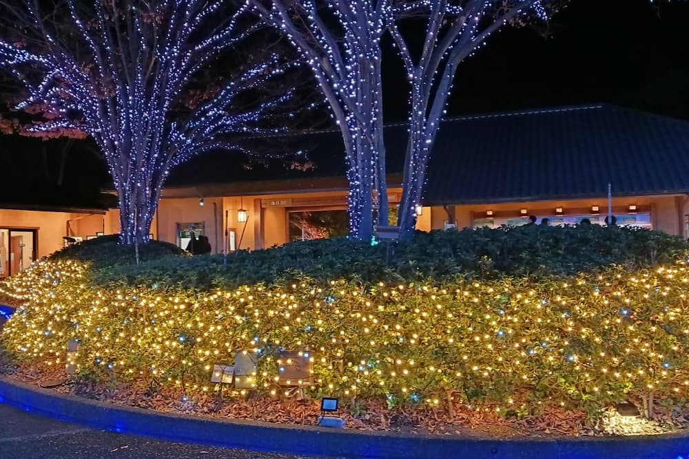 なばなの里イルミネーション