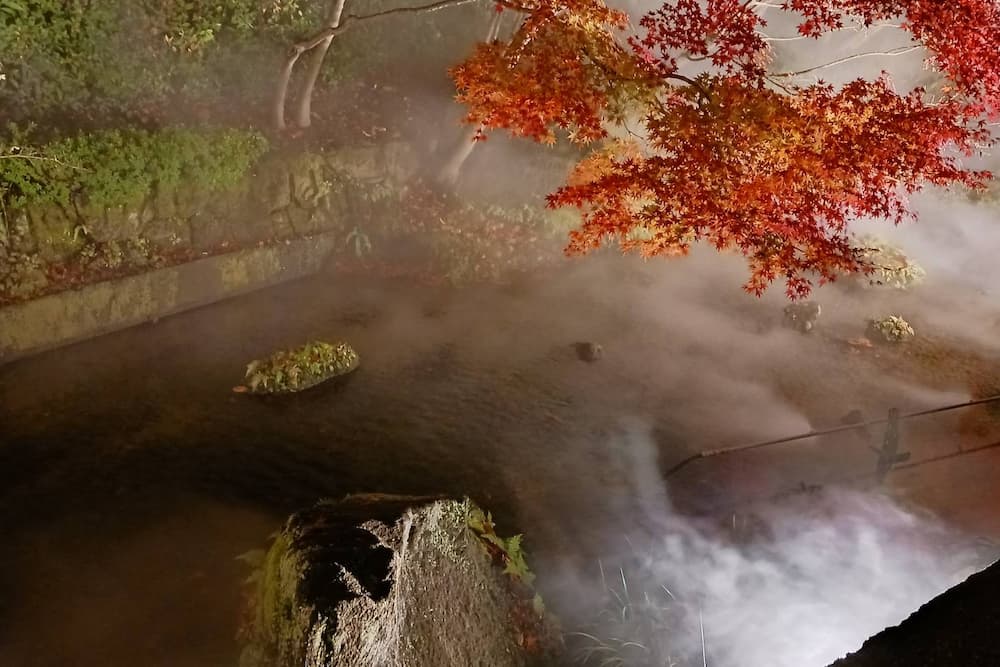 なばなの里イルミネーション