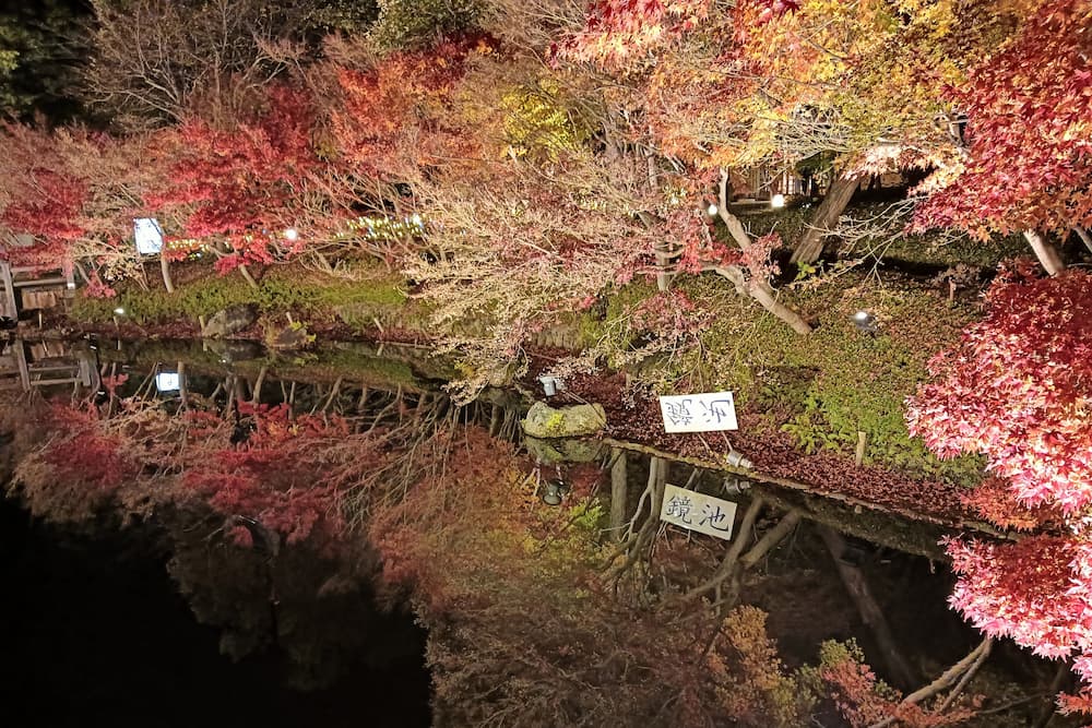 なばなの里イルミネーション