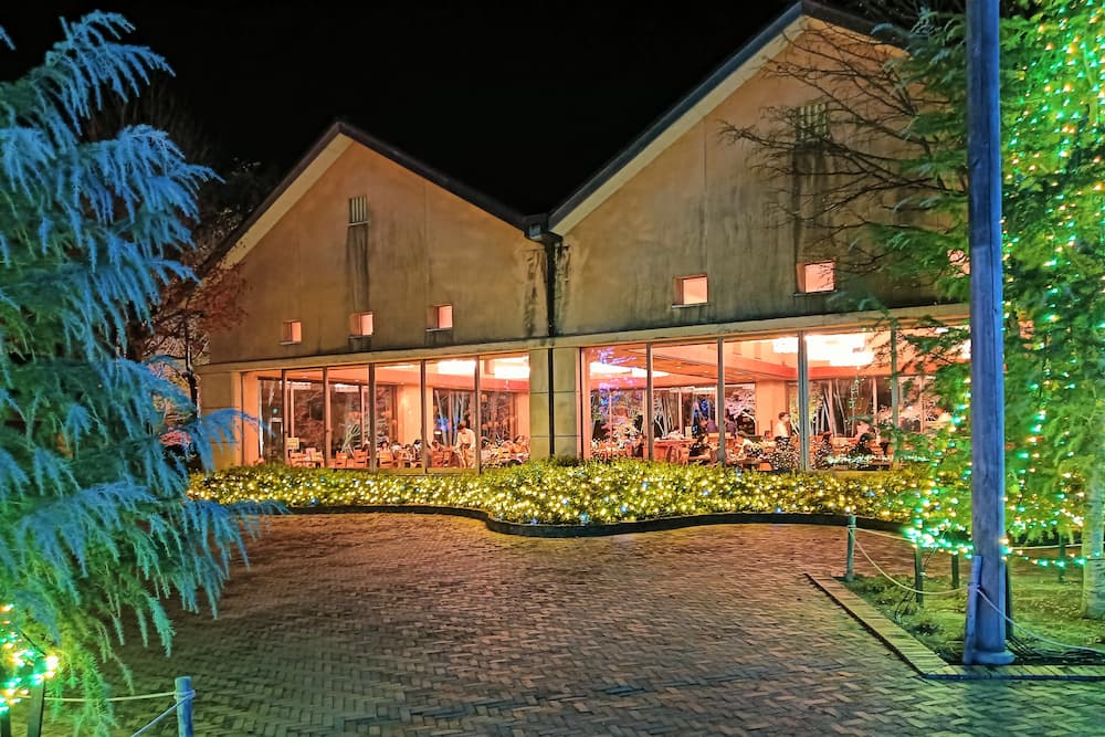 なばなの里イルミネーション