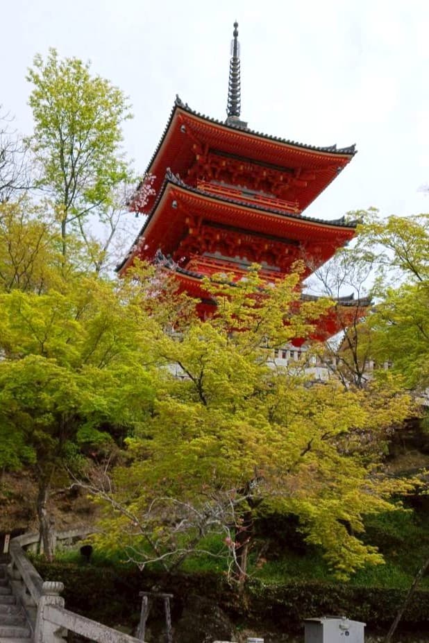 京都 清水寺 さくら