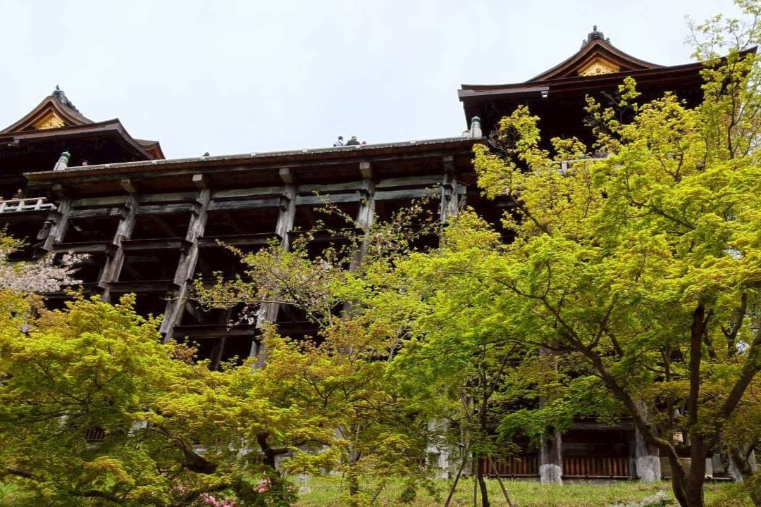 京都 清水寺 さくら