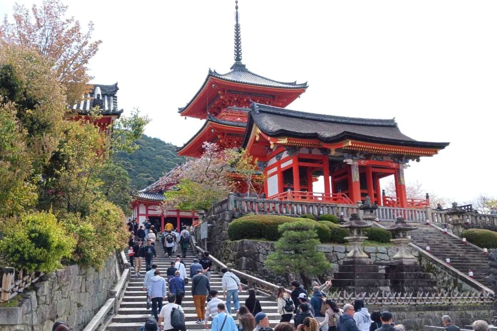 京都 清水寺 さくら