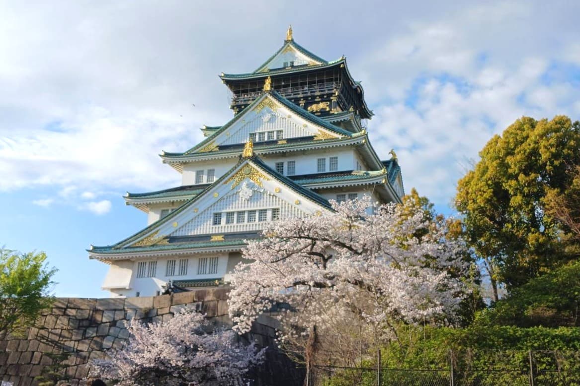 大阪城桜