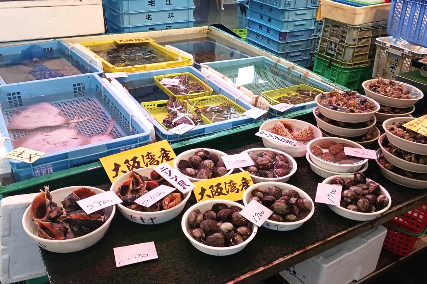泉佐野漁協の青空市場
